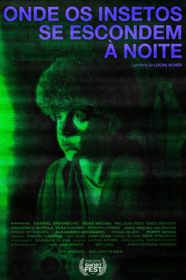 Onde Os Insetos Se Escondem à Noite