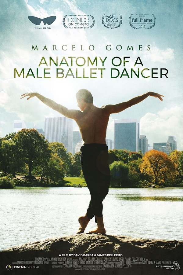 Anatomy Of A Male Ballet Dancer