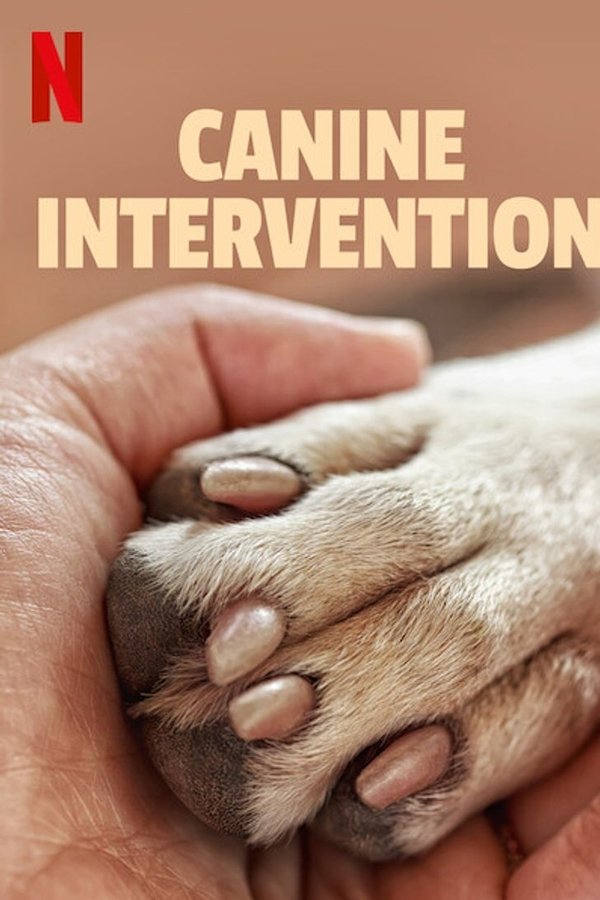 Adiestramiento canino