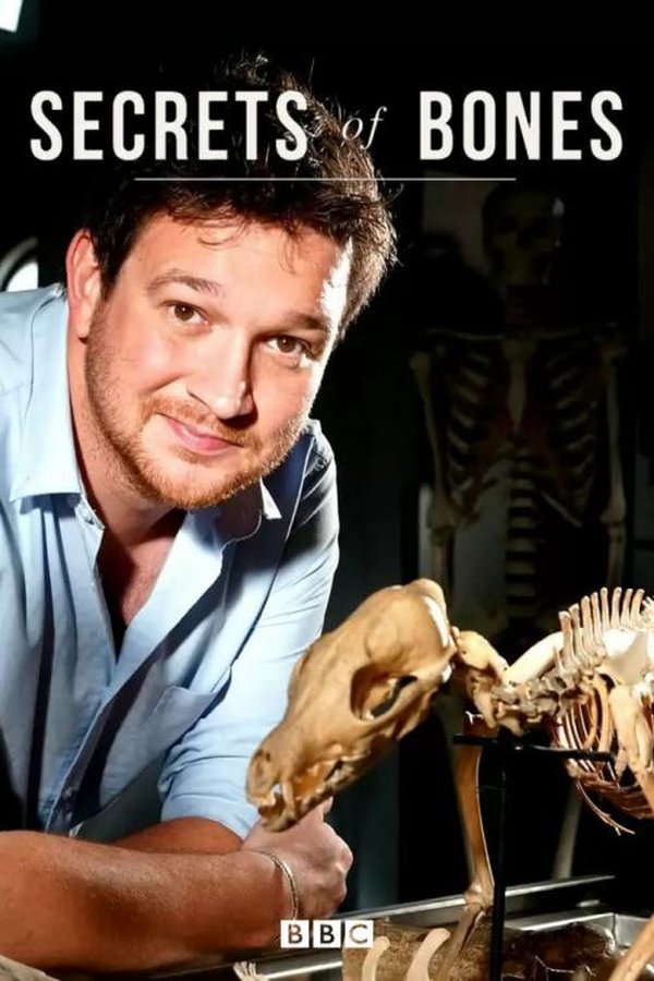 Secrets Of Bones