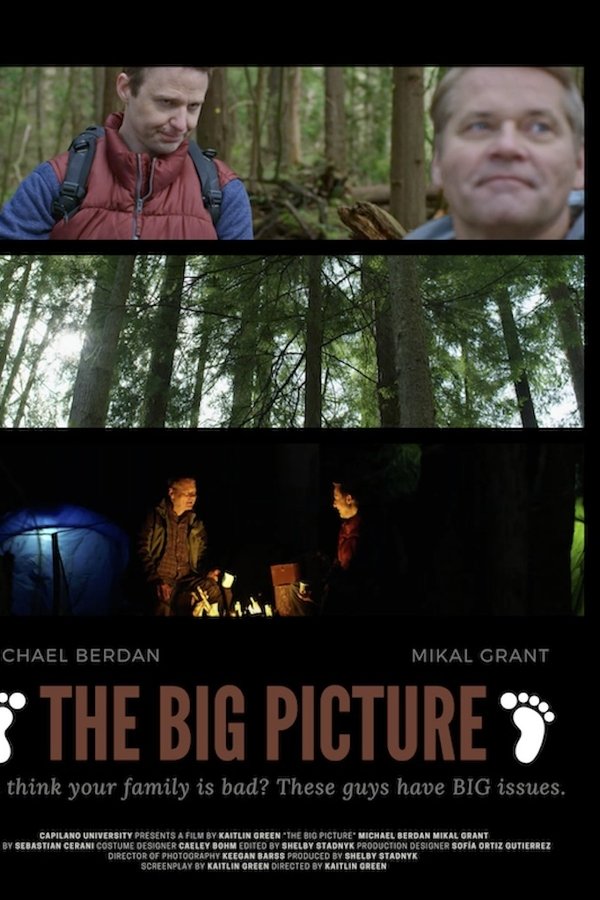 The Big Picture