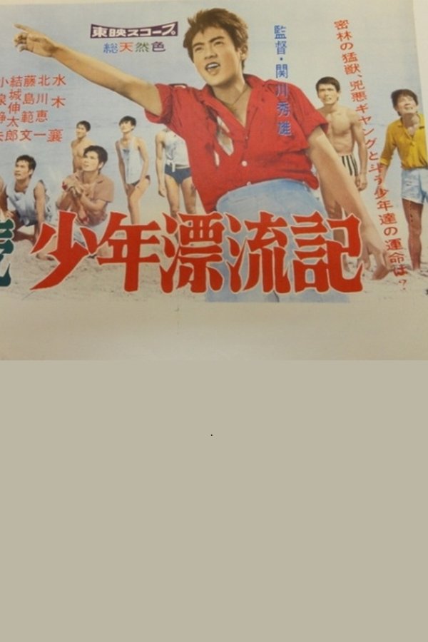 続少年漂流記