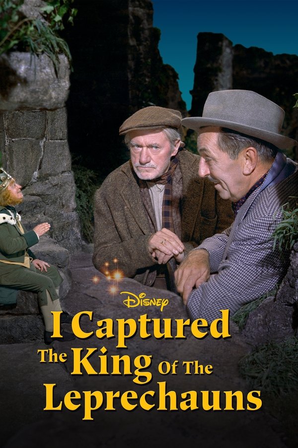 I Captured The King Of The Leprechauns