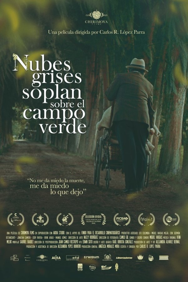 Nubes Grises Soplan Sobre El Campo Verde