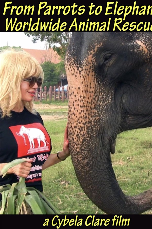 From Parrots To Elephants: Worldwide Animal Rescues