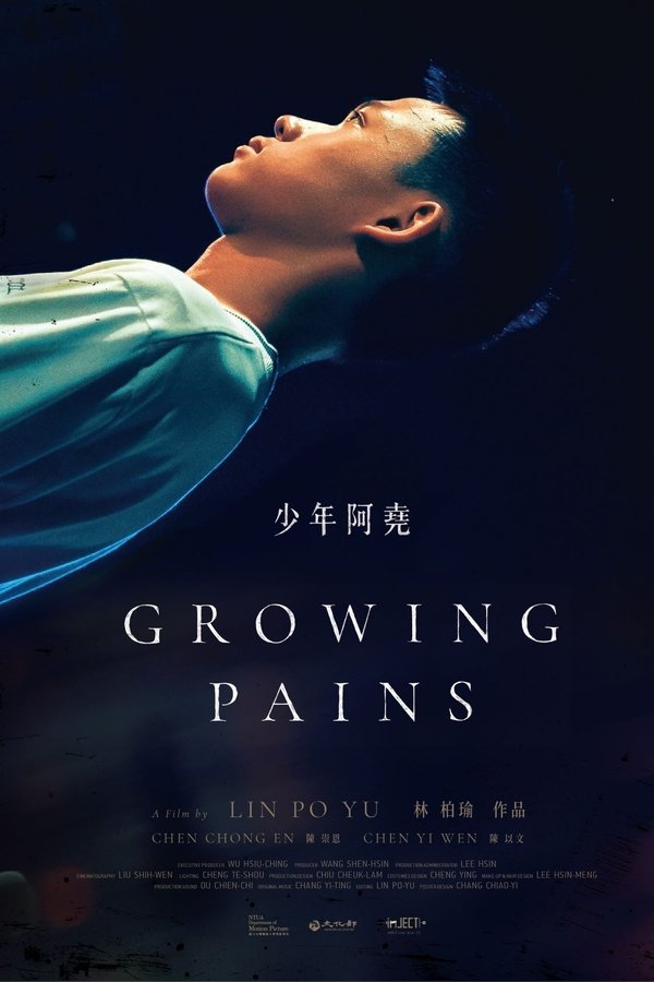 少年阿堯