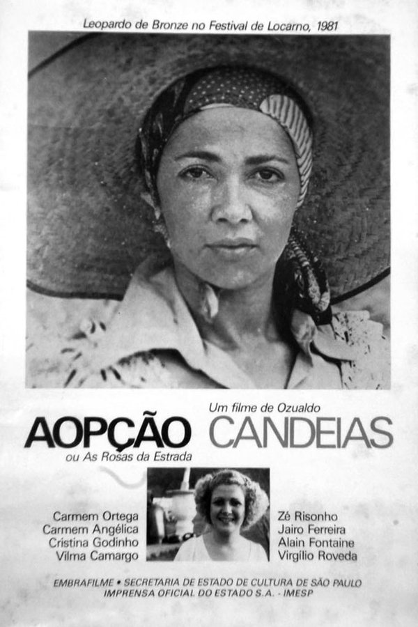 Aopção Ou As Rosas Da Estrada