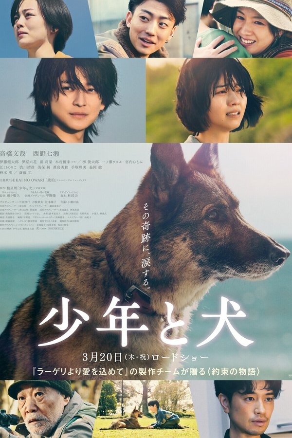 少年と犬