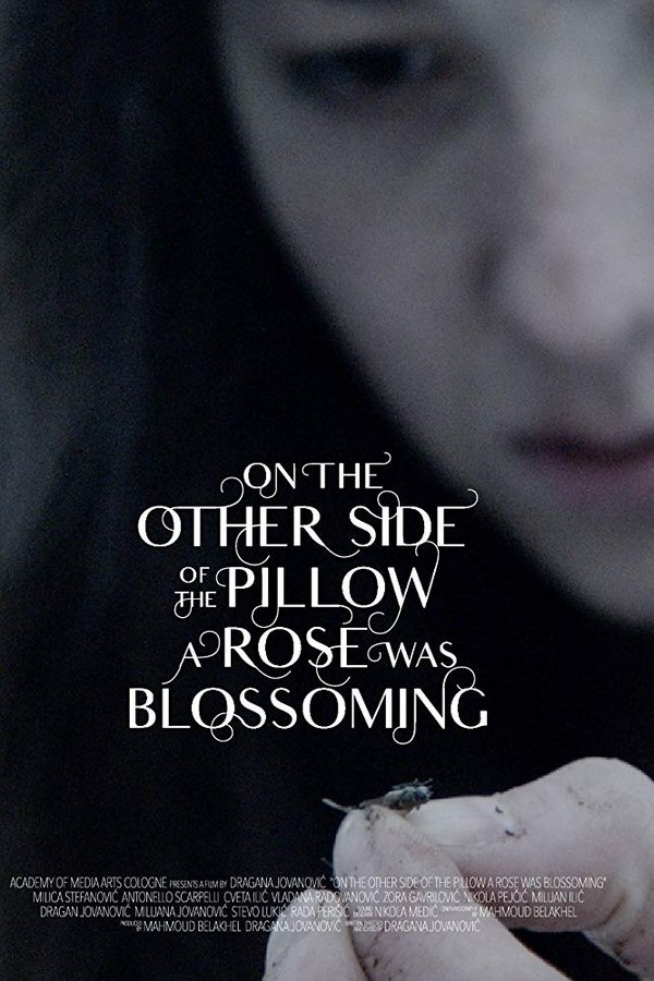 On The Other Side Of The Pillow A Rose Was Blossoming