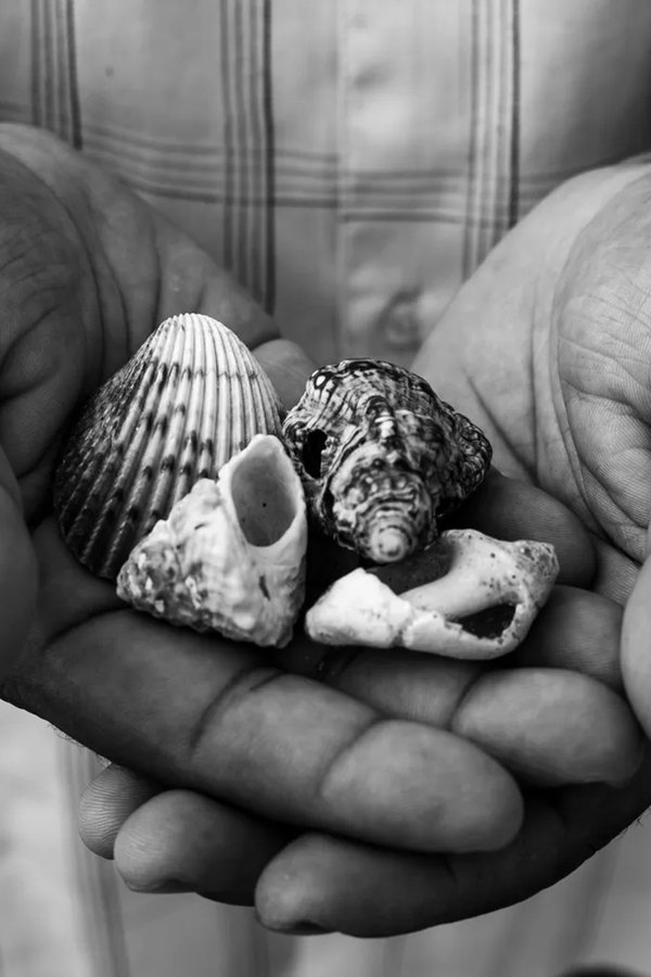 Outras Histórias Do Mar (BNegão Canta Caymmi)