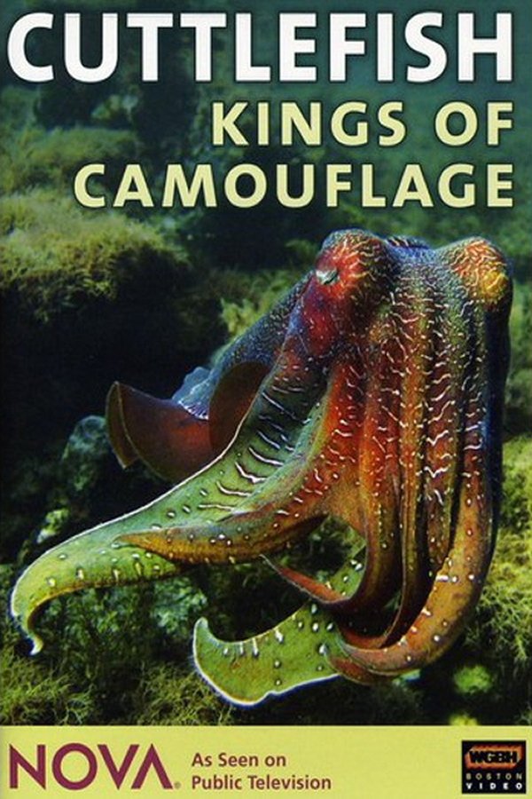 Cuttlefish: Kings Of Camouflage