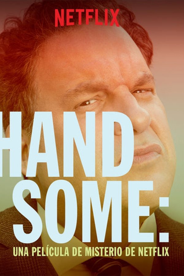 Handsome: A Netflix Mystery Movie