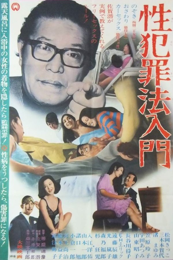 性犯罪法入門