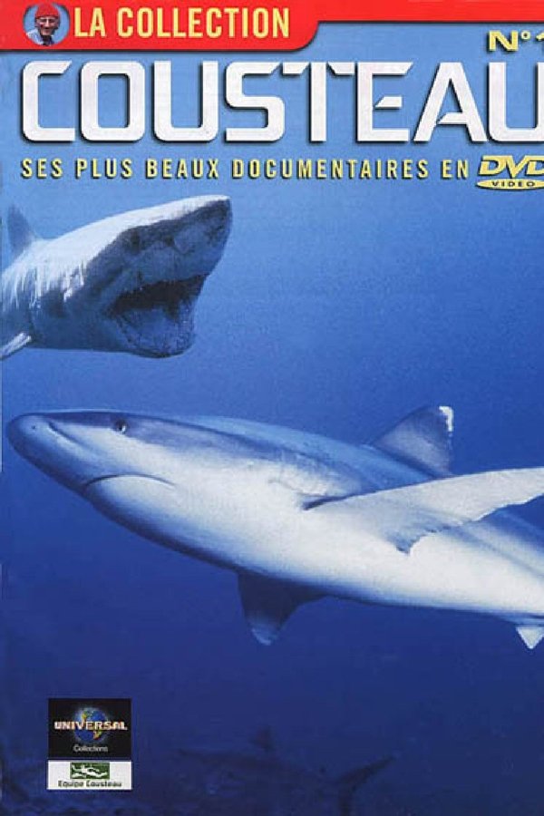 L’Odyssée Sous-marine De L'équipe Cousteau
