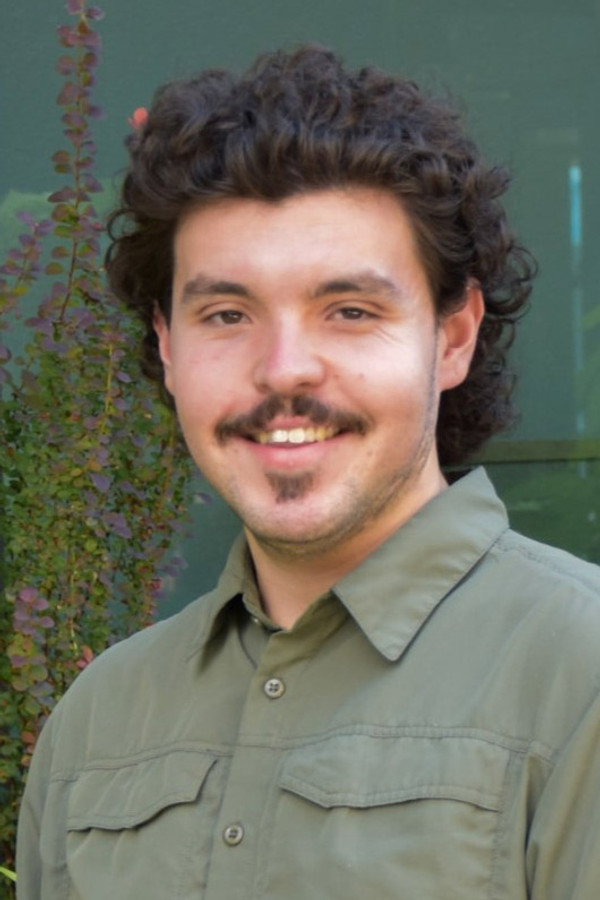Director