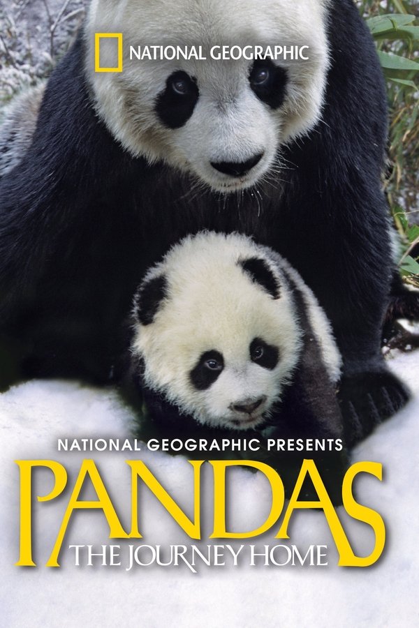 Pandas: El Camino A Casa