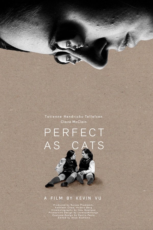 Perfect As Cats