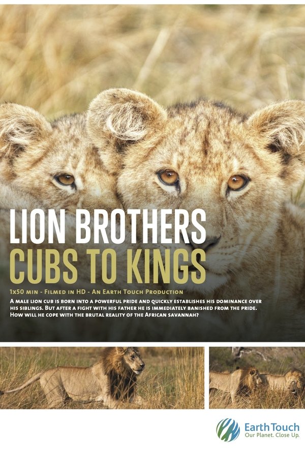 Lion Brothers: Cubs To Kings