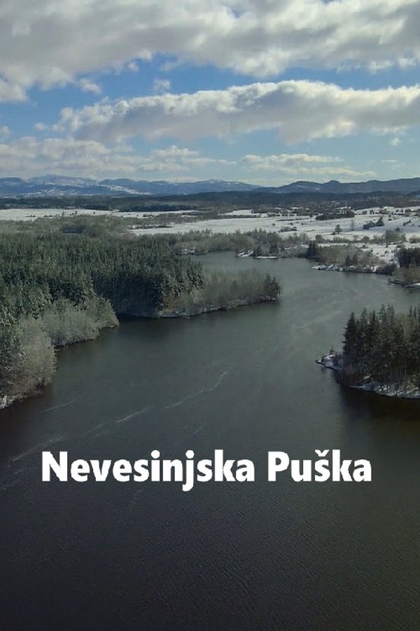 Nevesinjska Puška