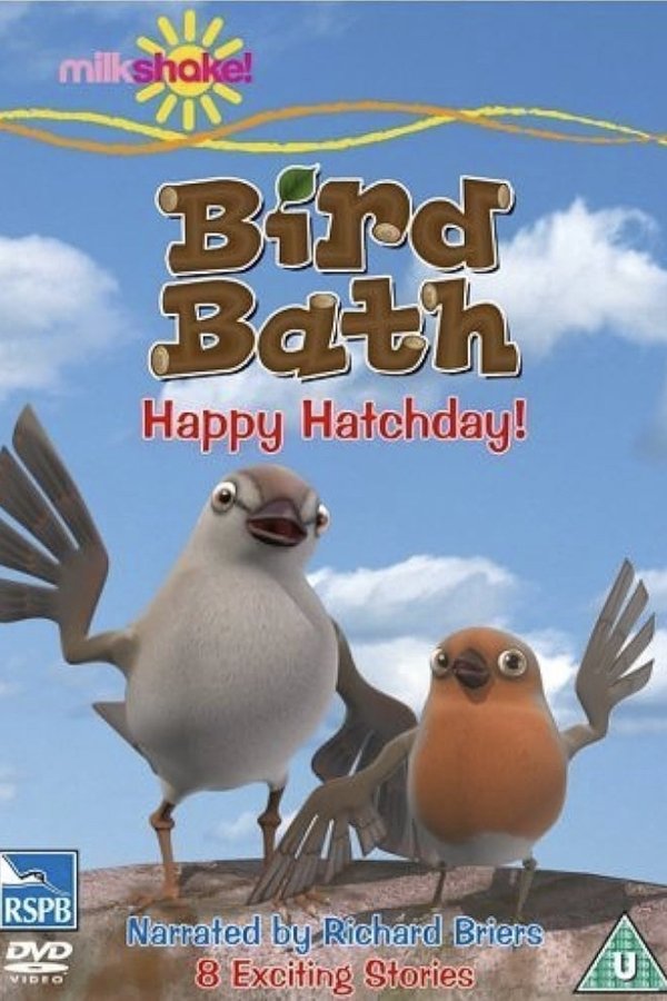 Bird Bath