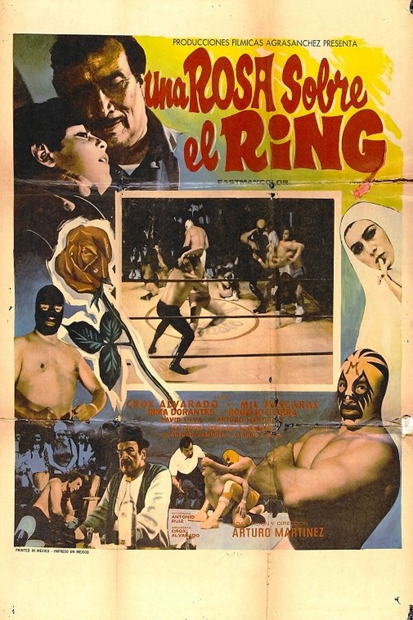 Una Rosa Sobre El Ring
