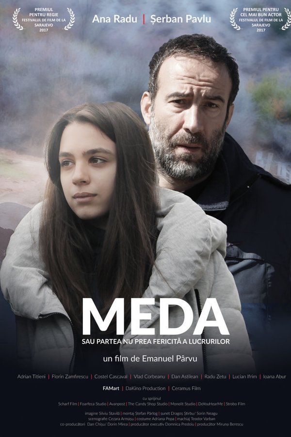 Meda Sau Partea Nu Prea Fericită A Lucrurilor