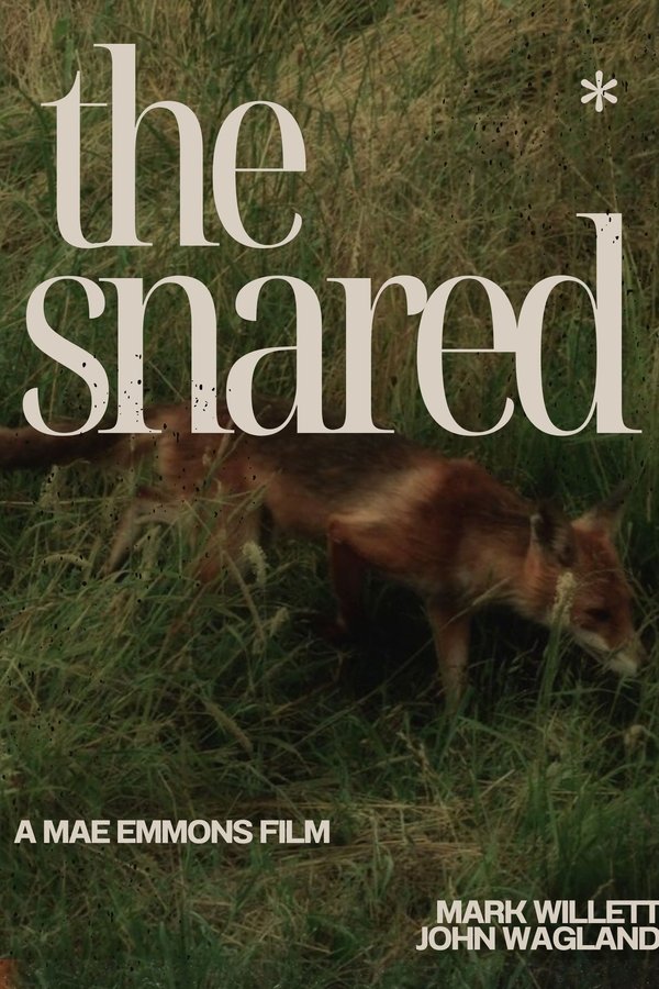 The Snared