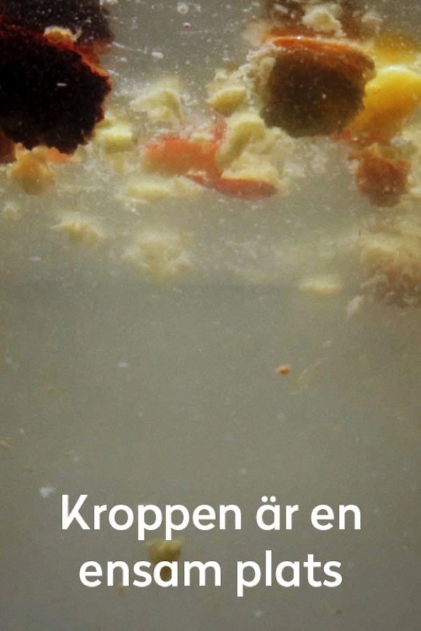 Kroppen är En Ensam Plats