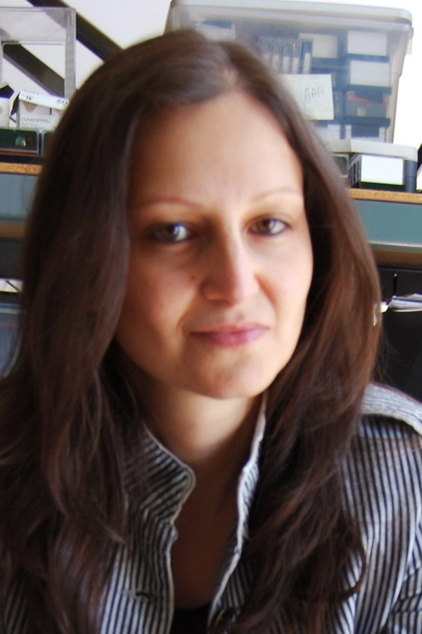 Director