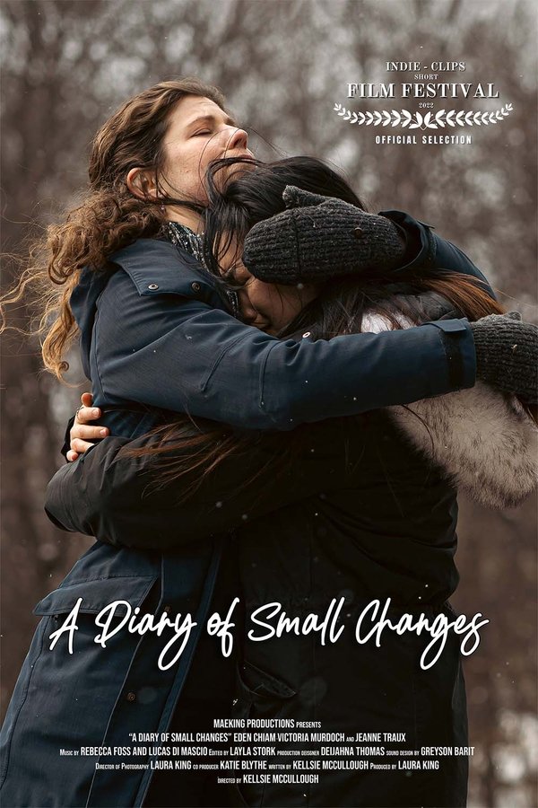 A Diary Of Small Changes