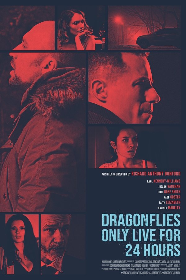 Dragonfiles Only Live For 24 Hours