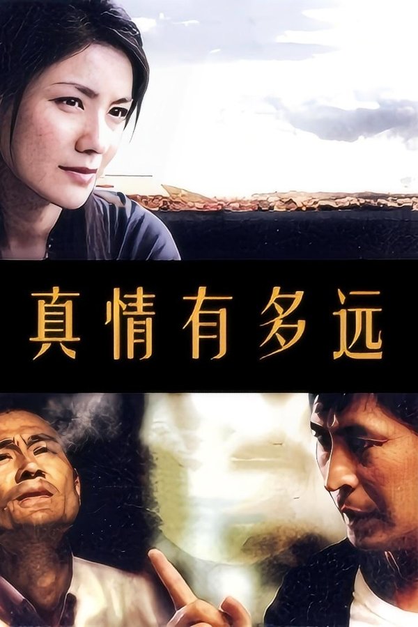 真情有多远