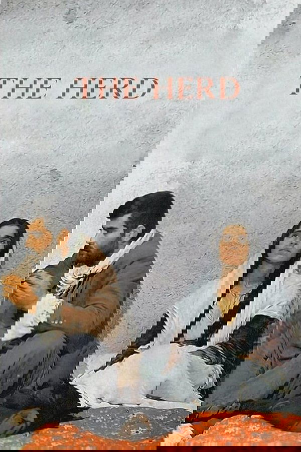 The Herd