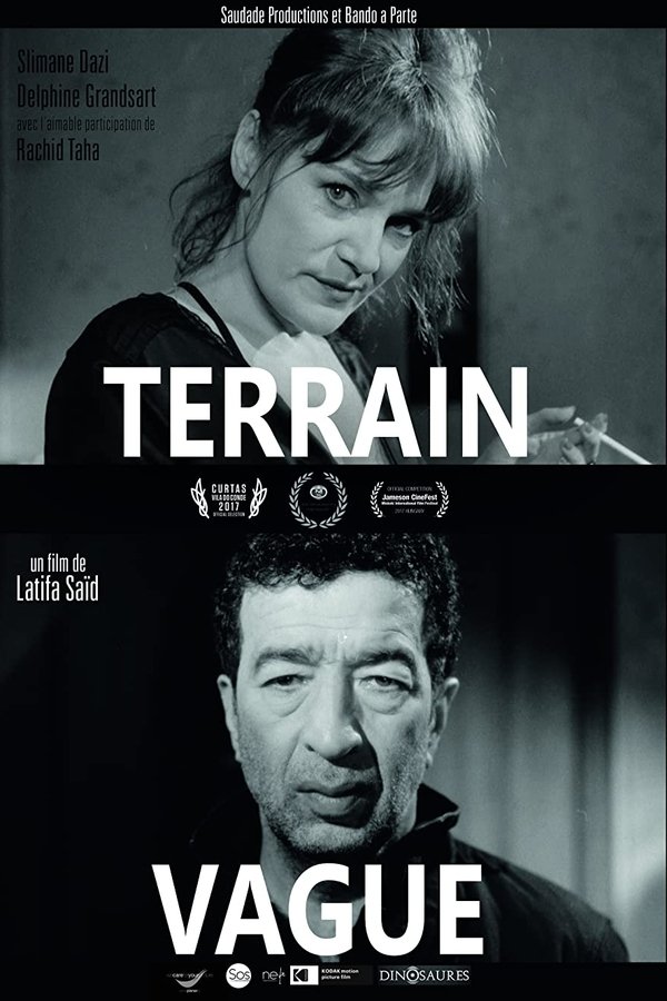 Terrain Vague