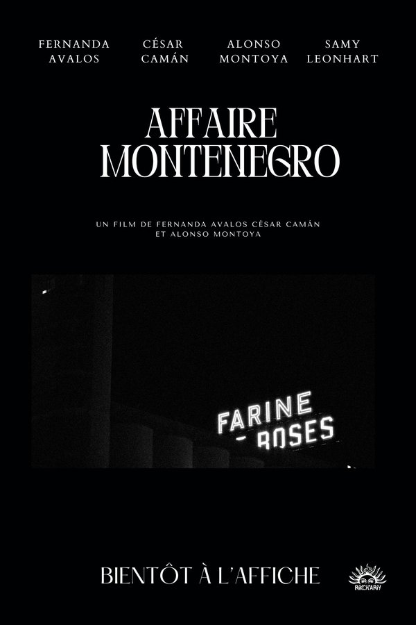 Affaire Montenegro