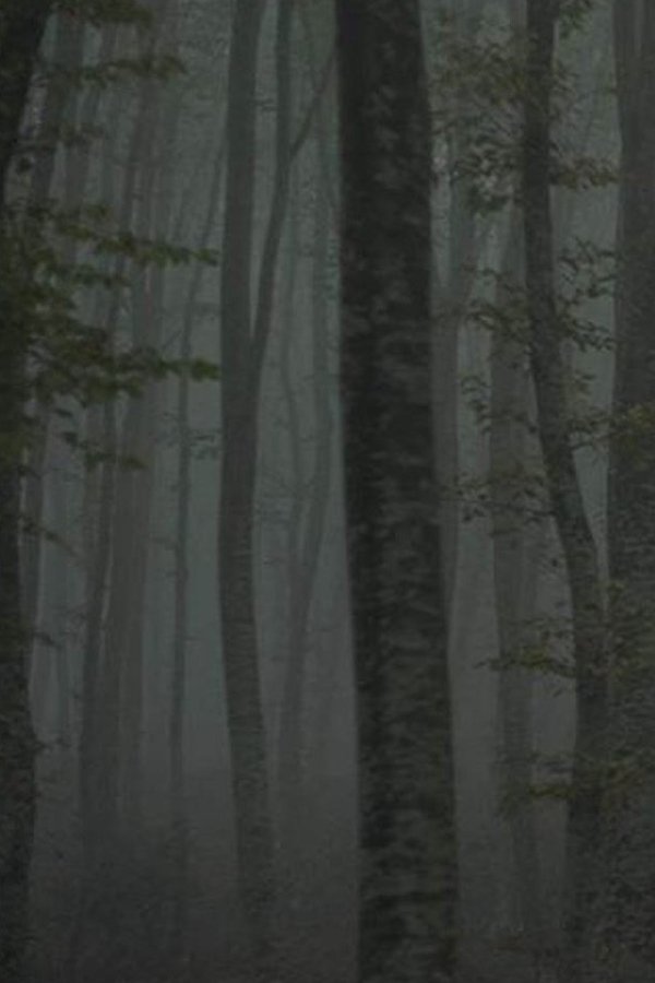 Refuge II: The Ice Path