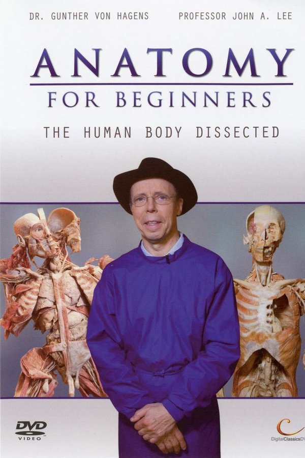 Anatomy For Beginners