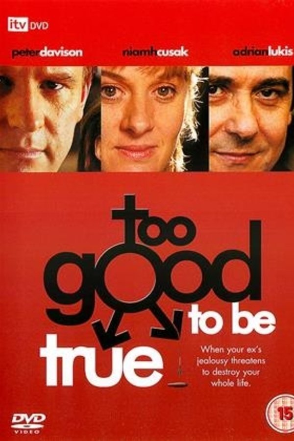 Too Good To Be True