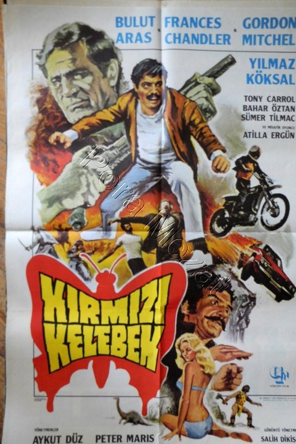 Kırmızı Kelebek