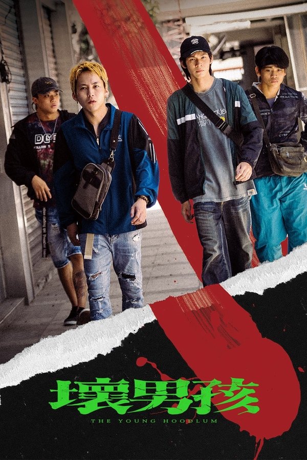 The-young-hoodlum