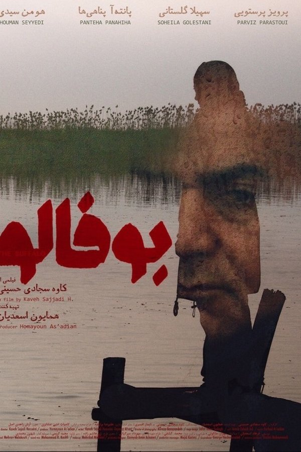بوفالو