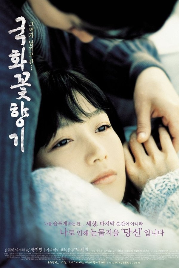 국화꽃 향기