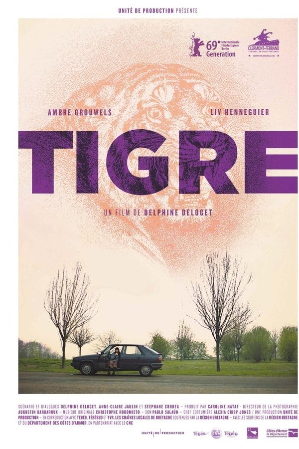 Tigre