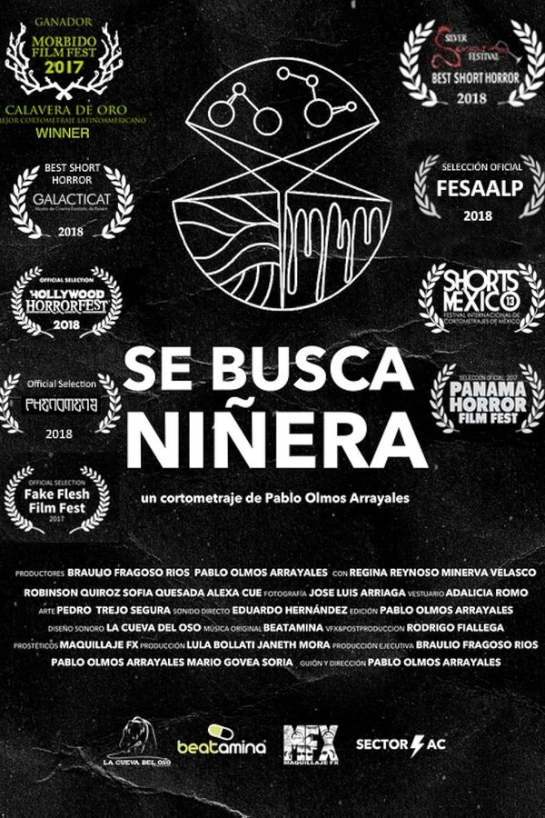 Se Busca Niñera