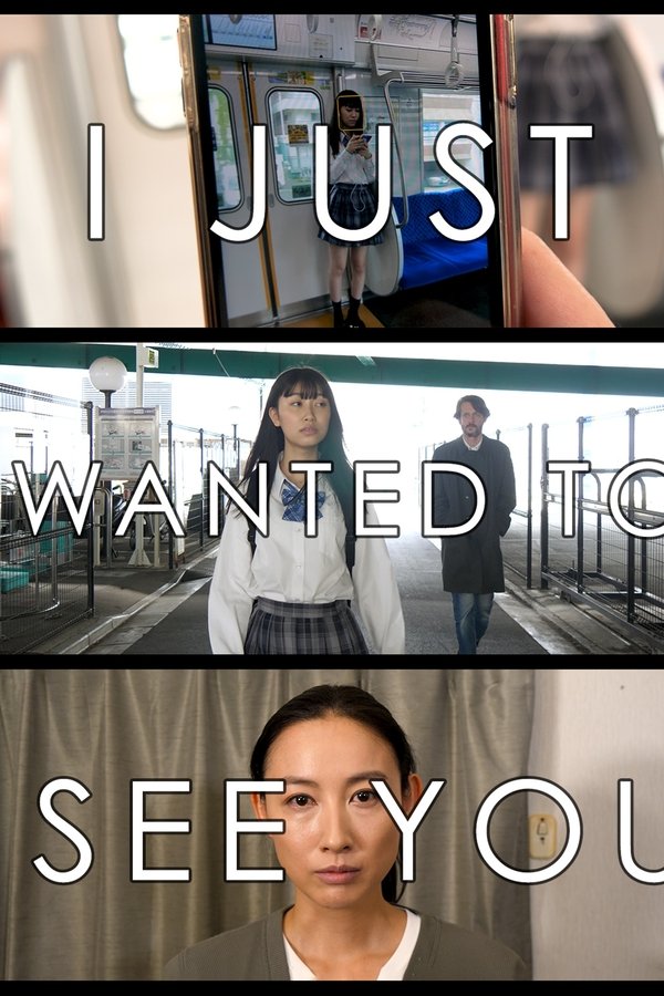 I Just Wanted To See You