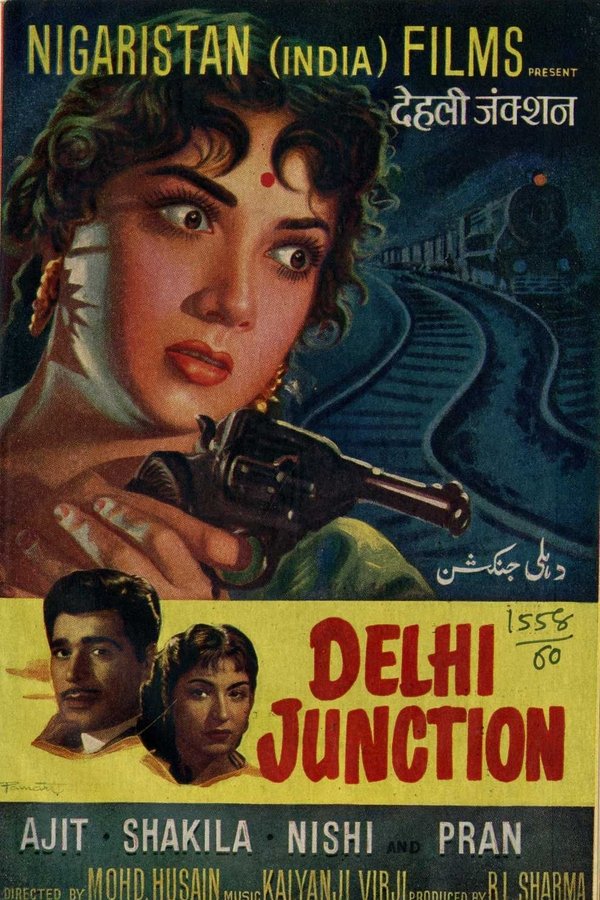 Delhi Junction
