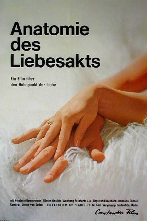 Anatomie Des Liebesakts