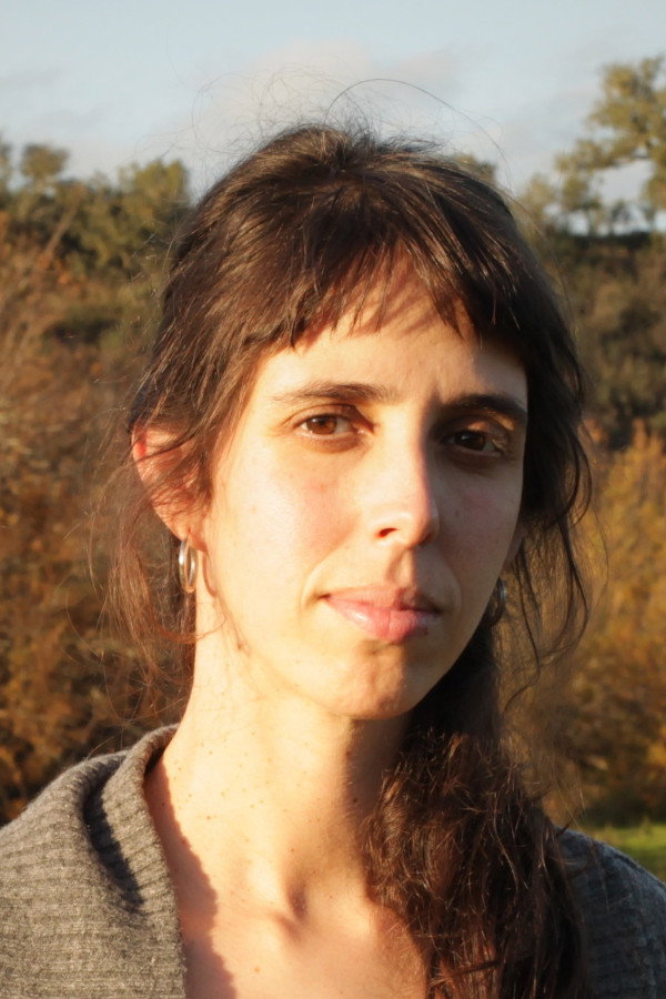 Director
