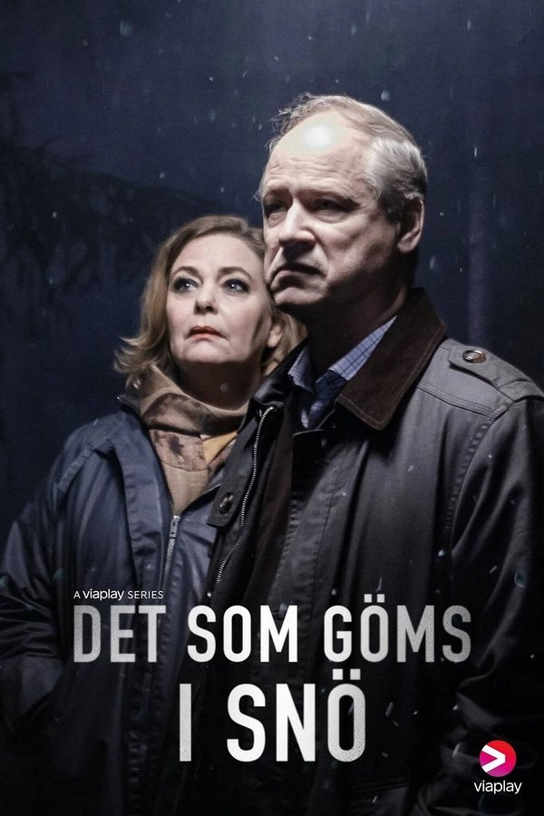 Det Som Göms I Snö