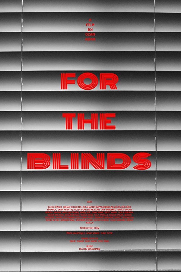 For The Blinds